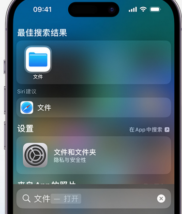 绥化apple维修中心分享iPhone文件应用中存储和找到下载文件