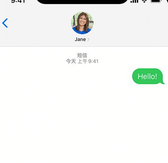 绥化apple维修iPhone上无法正常发送iMessage信息