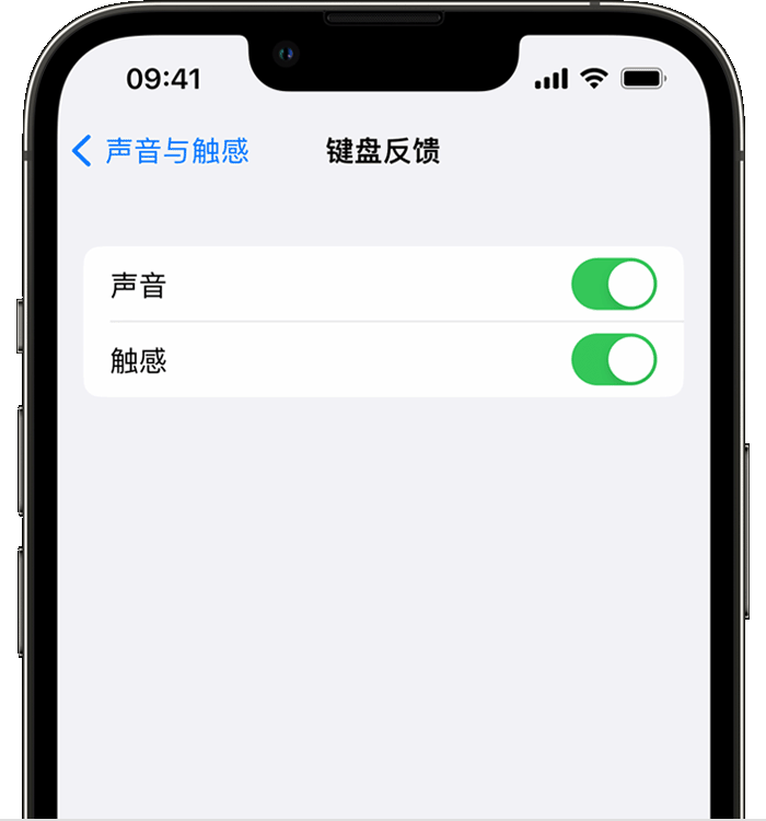 绥化苹果14维修店分享如何在 iPhone 14 机型中使用触感键盘 