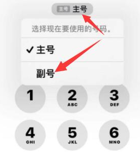 绥化苹果14维修店分享iPhone 14 Pro Max使用副卡打电话的方法 