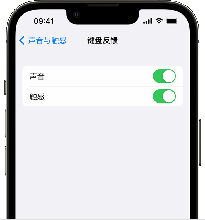 绥化苹果14维修分享iPhone 14 系列机型如何开启键盘声音或触感反馈 