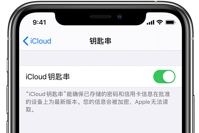 绥化苹果手机维修分享在 iPhone 上开启 iCloud 钥匙串之后会储存哪些信息 