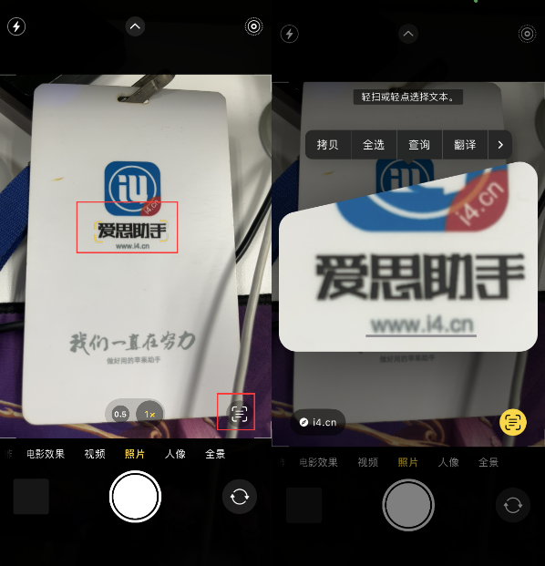 绥化苹果手机维修分享升级iOS 16后如何通过相机翻译文本 