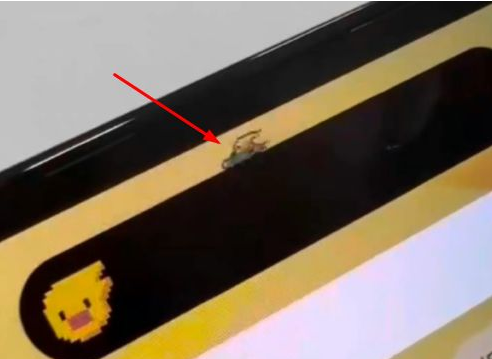 绥化苹果14维修分享iPhone 14 Pro Max灵动岛怎么养宠物 