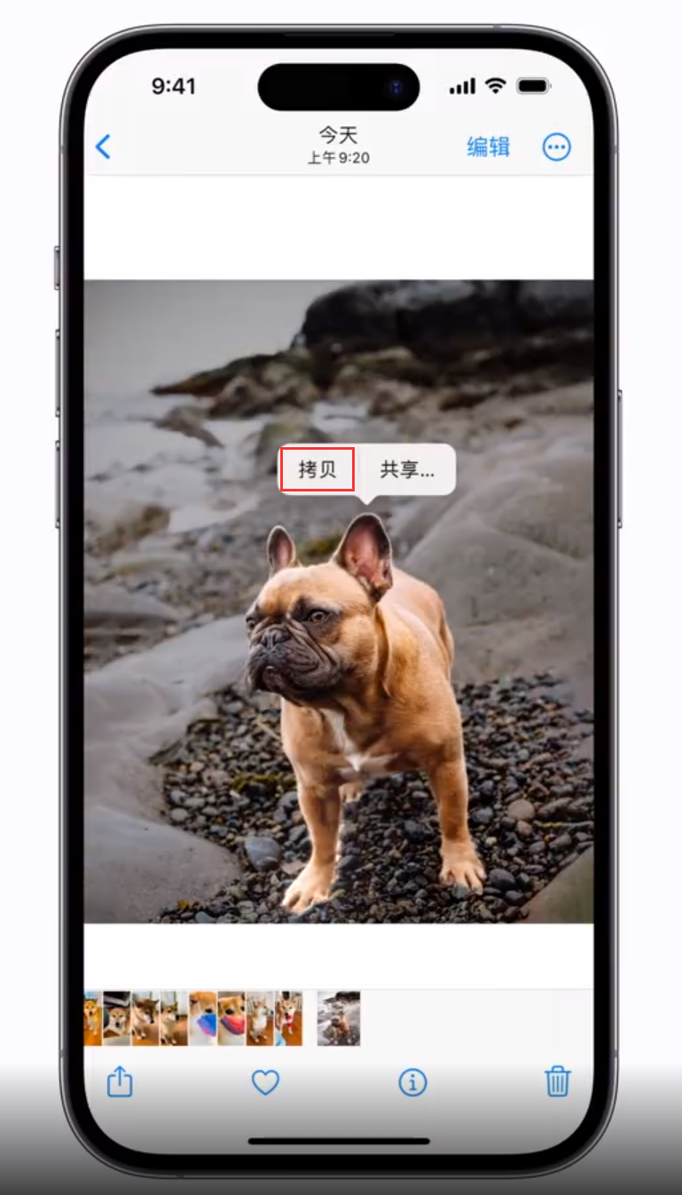 绥化苹果手机维修分享 iOS 16 自带一键抠图功能 