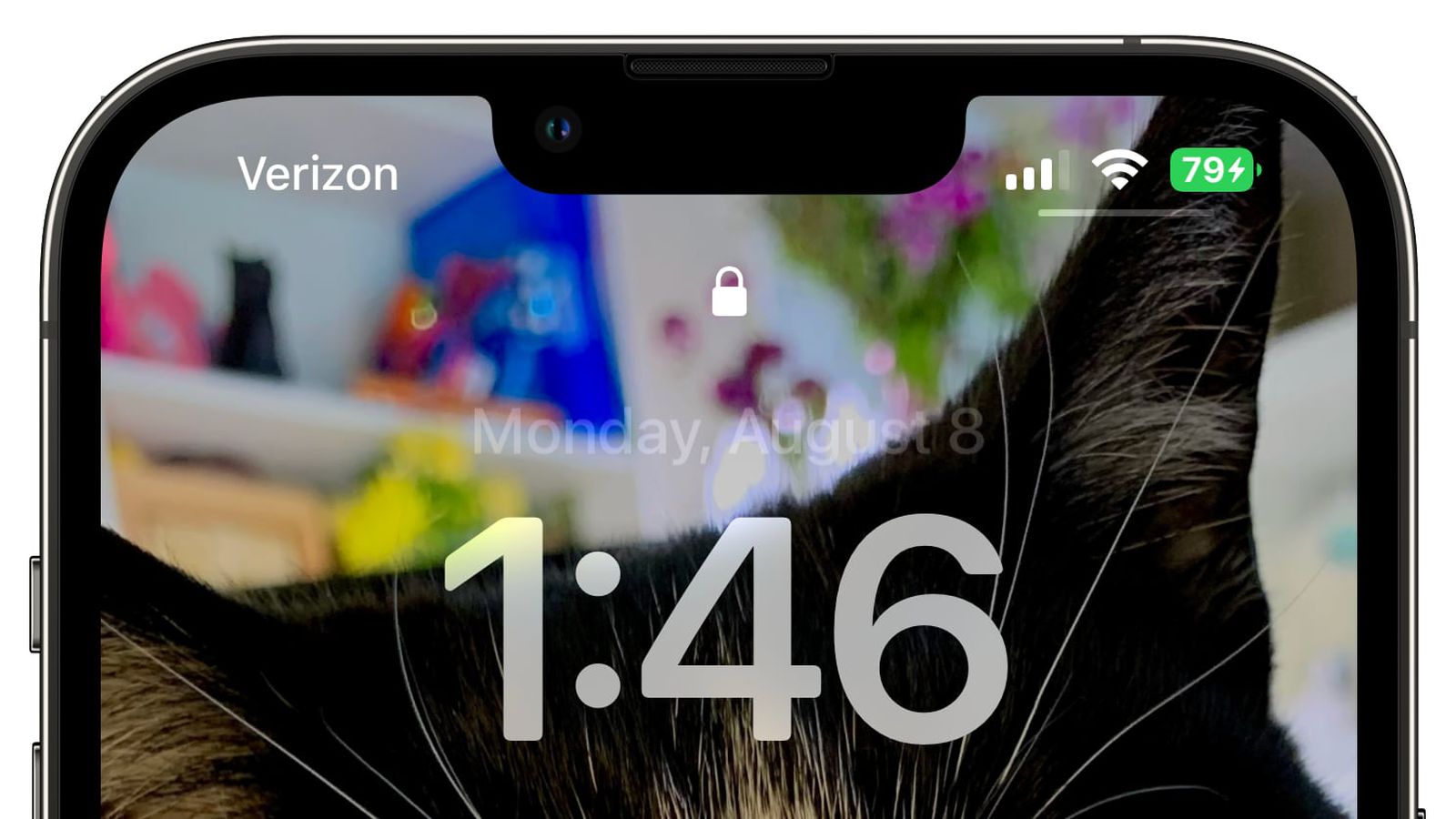 绥化苹果手机维修分享iOS 16 beta 5 支持状态栏显示电池百分比，如何开启？支持哪些机型 