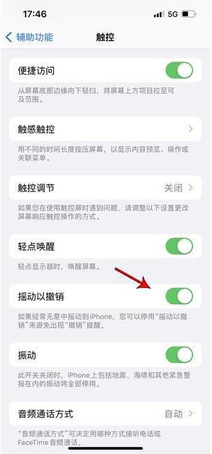 绥化苹果手机维修分享iPhone手机如何设置摇一摇删除文字 