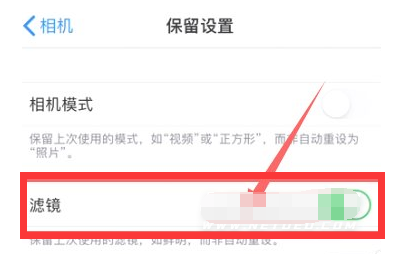 绥化苹果13维修分享iPhone13拍照有绿点是怎么回事 