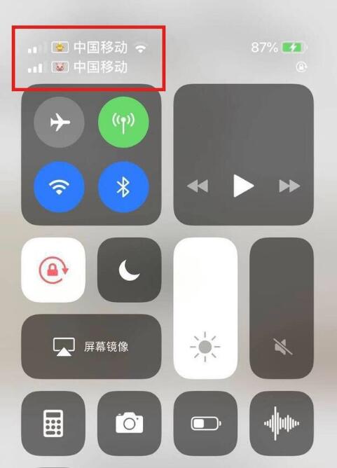 绥化苹果手机维修分享为 iPhone 12 双卡设置标签 